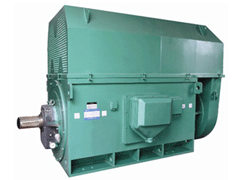 温岭Y系列6KV高压电机生产厂家